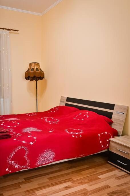 Casa Max Apartment Timisoara Luaran gambar
