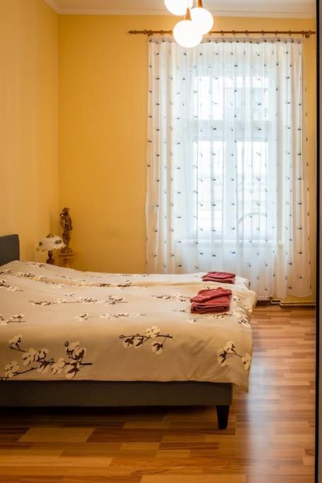 Casa Max Apartment Timisoara Luaran gambar