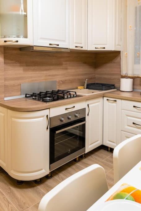 Casa Max Apartment Timisoara Luaran gambar