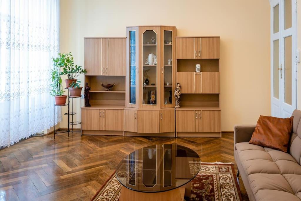 Casa Max Apartment Timisoara Luaran gambar