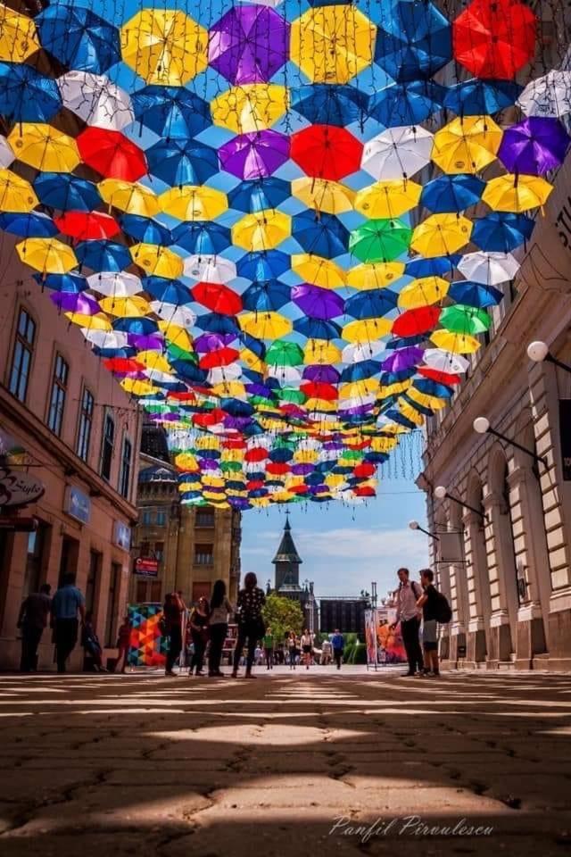 Casa Max Apartment Timisoara Luaran gambar