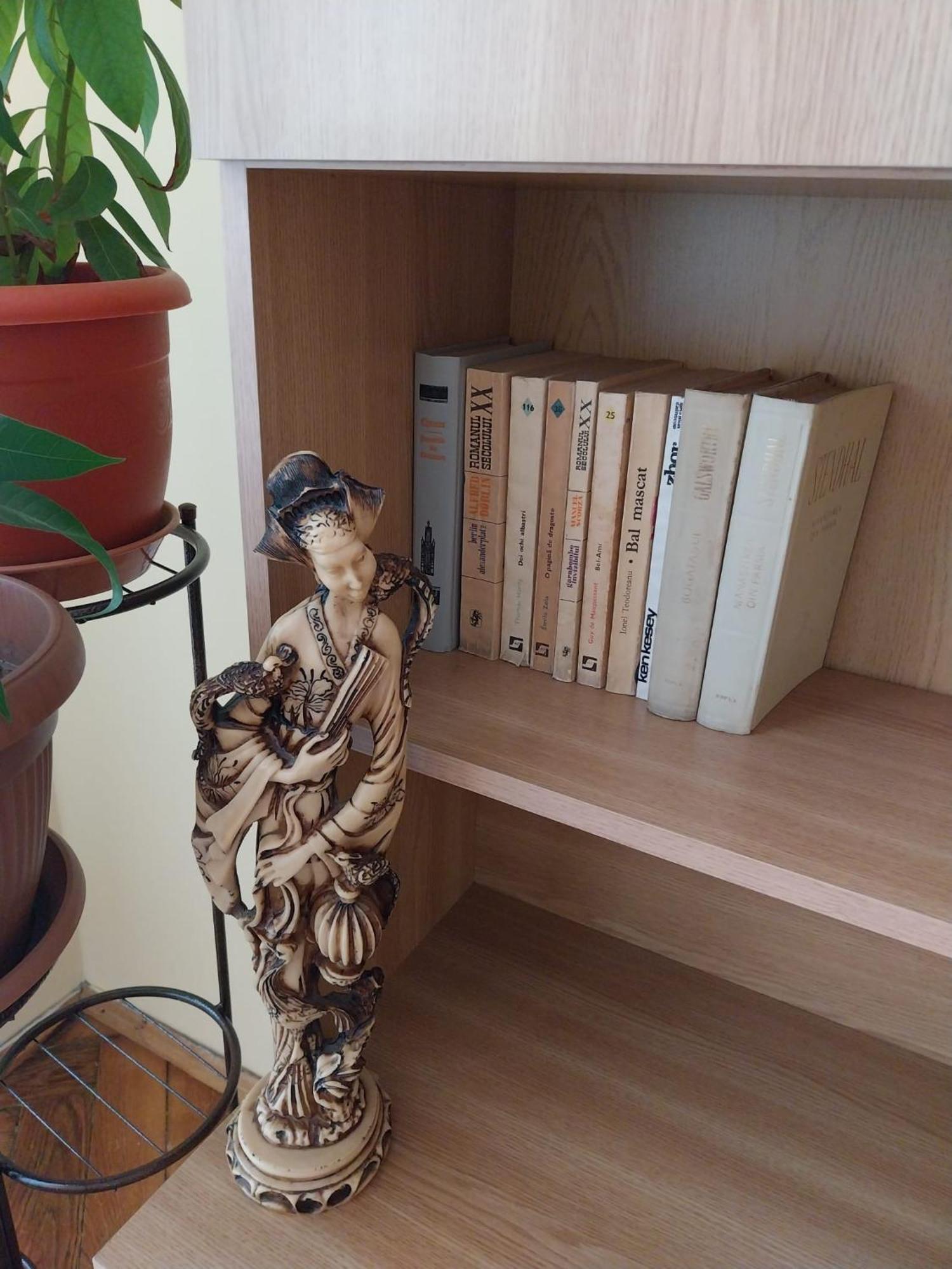 Casa Max Apartment Timisoara Luaran gambar
